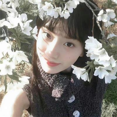稗记舞咏