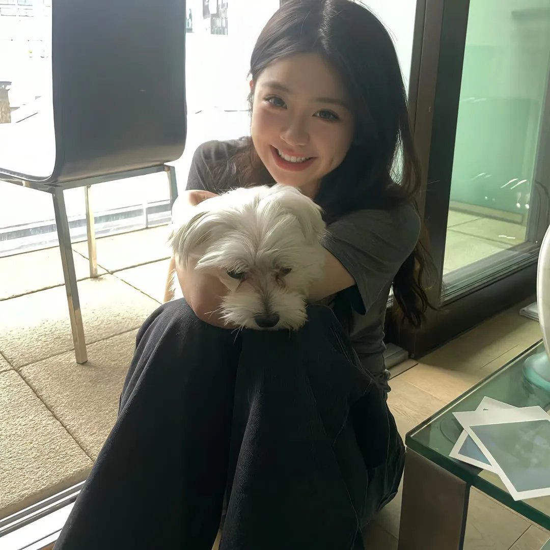 机器猛犬